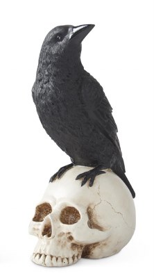 8.75" Turned Head Crow on Skull