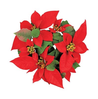 3" Red Poinsettia Candle Ring