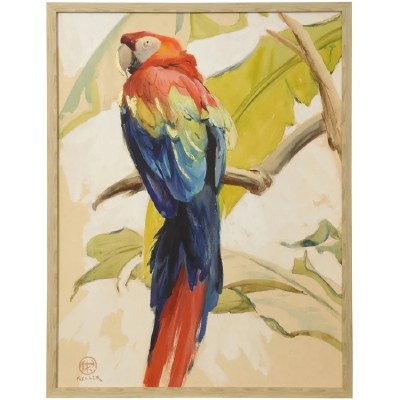 42" x 32" Red and Blue Parrot Framed Coastal Canvas