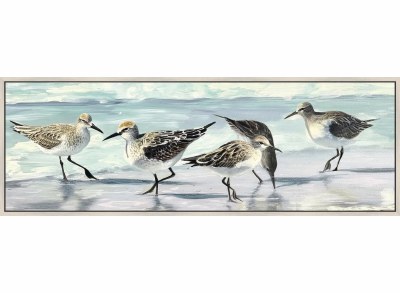 22" x 62" Five Sandpipers on the Beach Coastal Canvas in a White Frame