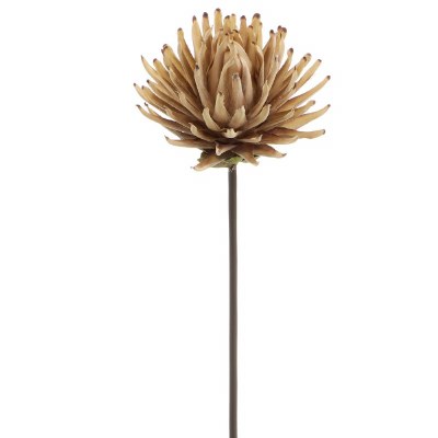 33" Faux Beige Dry Look Protea Stem