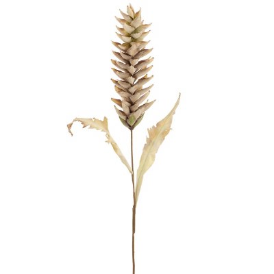 40" Faux Beige Dry Look Heliconia Stem