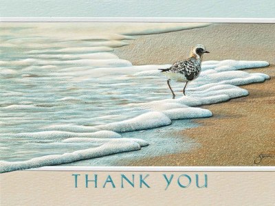 Box of Nine Plover on the Beach Thank You Note Cards