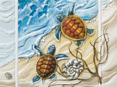 Box of Nine Sea Turtle Hatchling Twins Blank Note Cards
