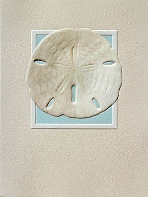 Box of Nine Beige Sand Dollar Blank Note Cards