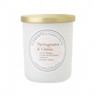 16 Oz Springwater & Citrus Two Wick Candle Jar