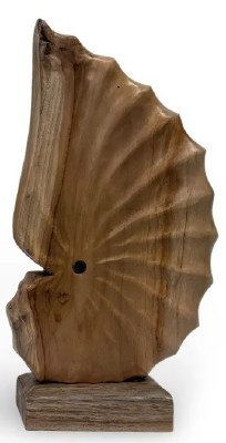 14" Brown Wood Nautilus Shell Statue