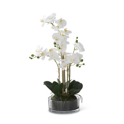 23" Faux White Five Orchids With Moss in a Glass Vase