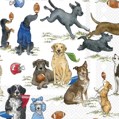 5" Square Football Dogs Beverage Napkins