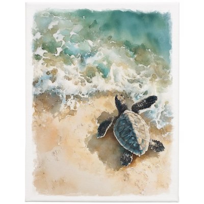17" x 13" Baby Sea Turtle Coastal Canvas
