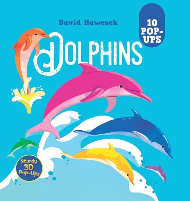 Dolphins Children's Pop-Up Book
