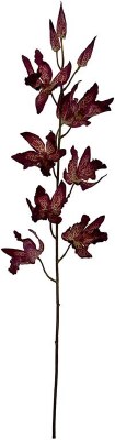 31" Faux Wine Oncidium Spray