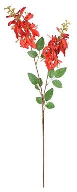36" Faux Red Montberetia Spray