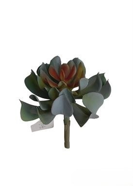 6" Faux Green and Red Kishii Lotus Succulent