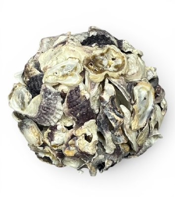 6" Oyster Shell Orb