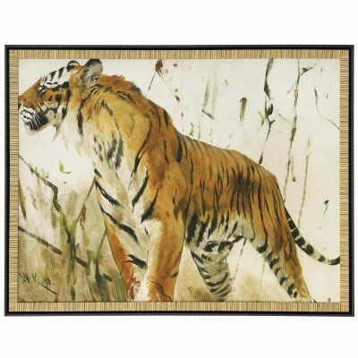 39" x 51" Tiger Prowl Framed Canvas