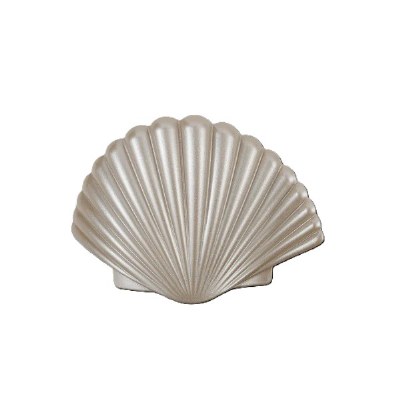 Small Scallop Shell Hair Clip