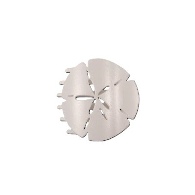 Medium White Sand Dollar Hair Clip