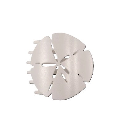 Large White Sand Dollar Hair Clip