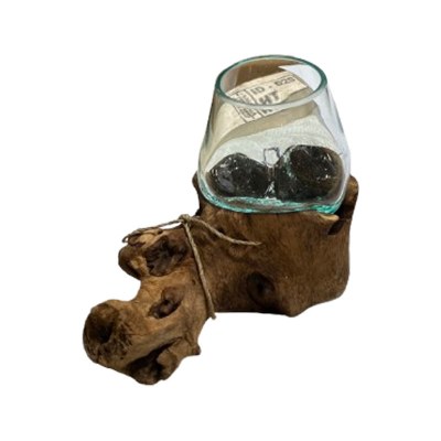 5" Glass Bowl on Driftwood