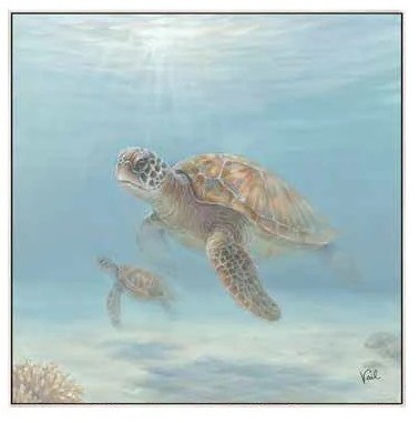 36" Sq Sea Turtle Swimming Below Framed Coastal Canvas