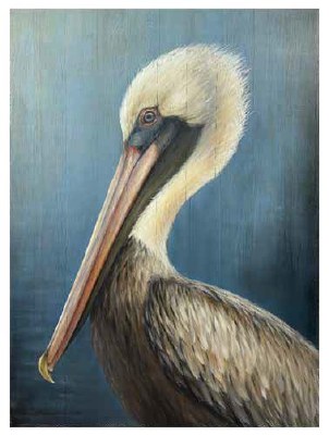 55" x 38" Brown Pelican Coastal Wood Wall Art Plaque