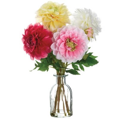 15" Multicolor Dahlias in a Glass Vase