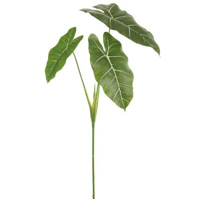 32" Green and Variegated Elephant Leaf Spray