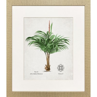 21" x 18" Arbor Palm Framed Coastal Print