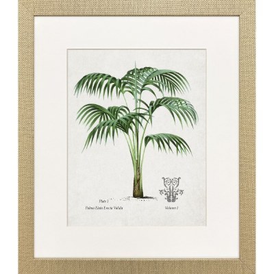 21" x 18" Elata Palm Framed Coastal Print