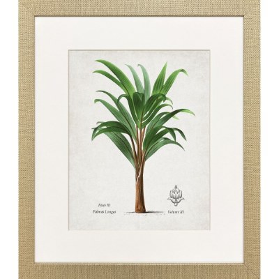 21" x 18" Longas Palm Framed Coastal Print