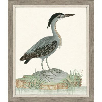 34" x 28" Heron Bird 1 Framed Coastal Print