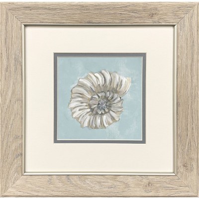 13" Sq Gray and White Snail Shell Framed Coastal Print