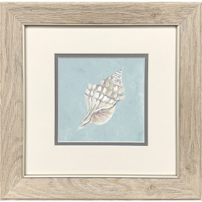 13" Sq Gray and White Whelk Shell Framed Coastal Print