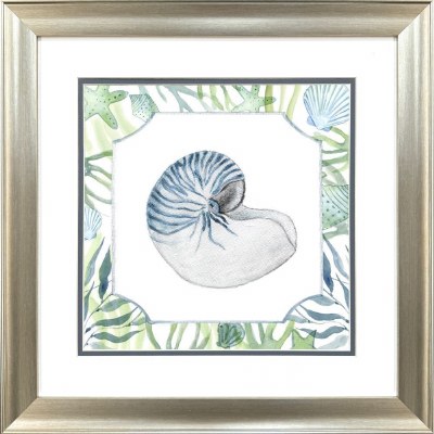 19" Sq Blue and Green Nautilus Shell Framed Coastal Print