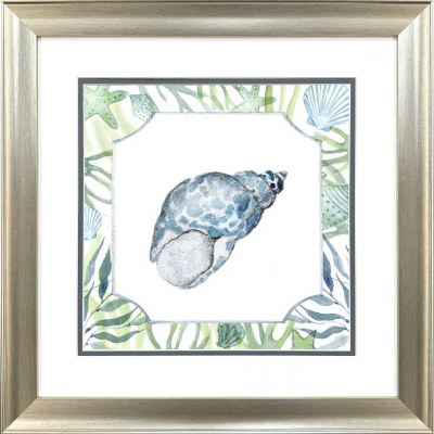 19" Sq Blue and Green Spot Shell Framed Coastal Print
