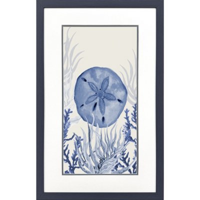 32" x 20" Blue Sand Dollar Framed Coastal Print