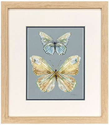 17" x 15" Blue Top Two Butterflies Framed Print