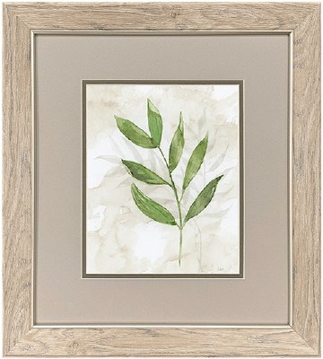 18" x 16" One Green Frond Framed Print