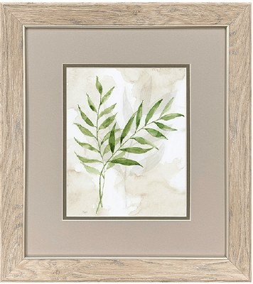 18" x 16" Two Green Frond Framed Print