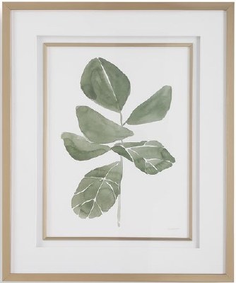 34" x 28" Fiddle Leaf 1 Framed Print Under Glass