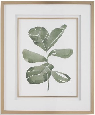 34" x 28" Fiddle Leaf 3 Framed Print Under Glass