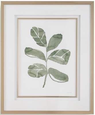 34" x 28" Fiddle Leaf 4 Framed Print Under Glass