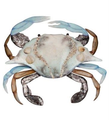 20.5" Blue and Brown Crab Capiz Plaque