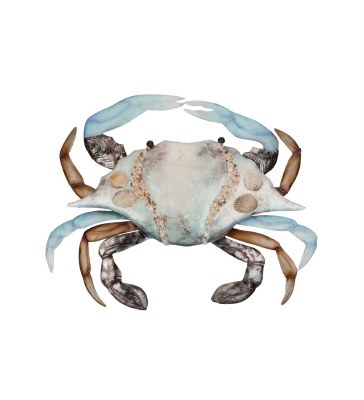 15" Blue and Brown Crab Capiz Plaque