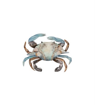 11" Blue and Brown Crab Capiz Plaque