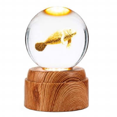 5" LED Clear Manatee Orb With Base