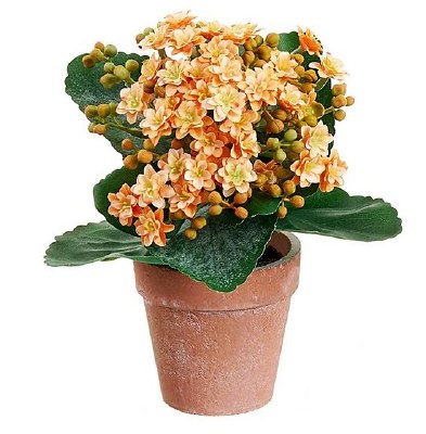 8" Faux Orange Kalanchoe in a Terracotta Pot