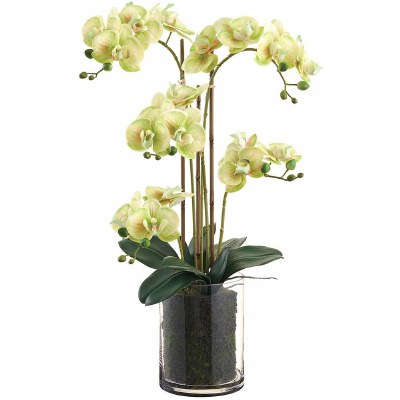 27" Faux Green Phaleo in a Glass Vase