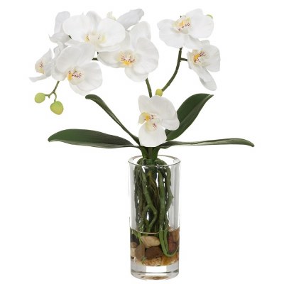 13" Faux White Phaleo in a Glass Vase